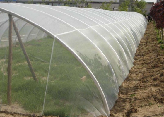 40x25 mesh مش سیم پلاستیکی 30-300 متر حشرات گلخانه کشاورزی سفید